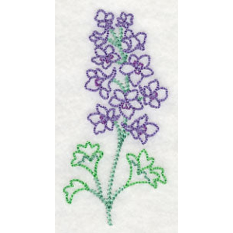 Foothill Larkspur (Vintage)|3.89″ x 1.95″ / 98.7mm x 49.48mm