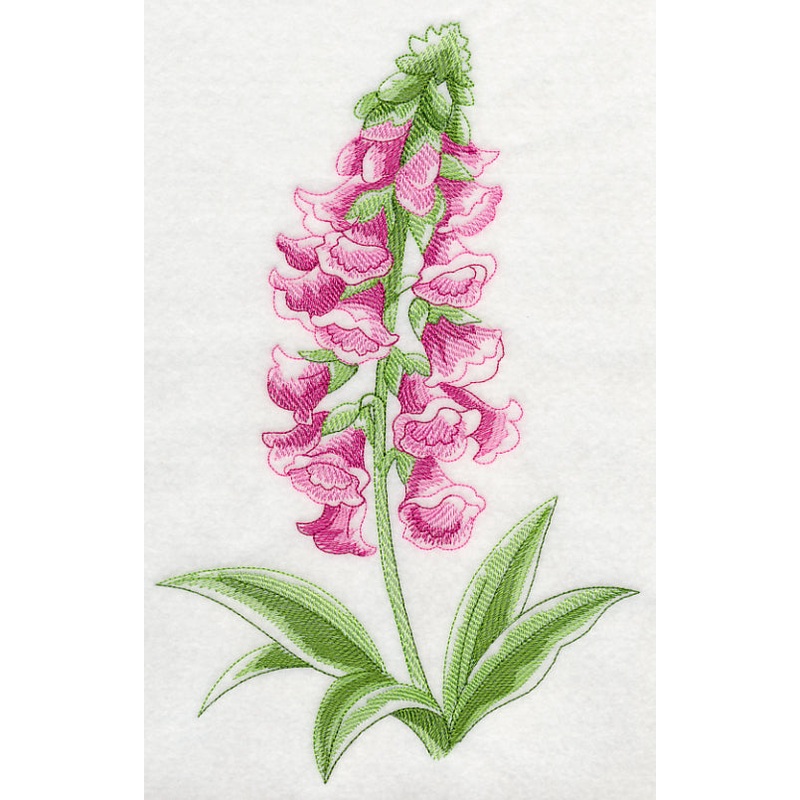 Foxglove Beauty|10.73″ x 6.9″ / 272.54mm x 175.26mm|9.4″ x 6.04″ / 238.76mm x 153.54mm|7.8″ x 5.02″ / 198.12mm x 127.41mm|6.84″ x 4.4″ / 173.79mm x 111.76mm|3.87″ x 2.49″ / 98.3mm x 63.21mm|All Sizes