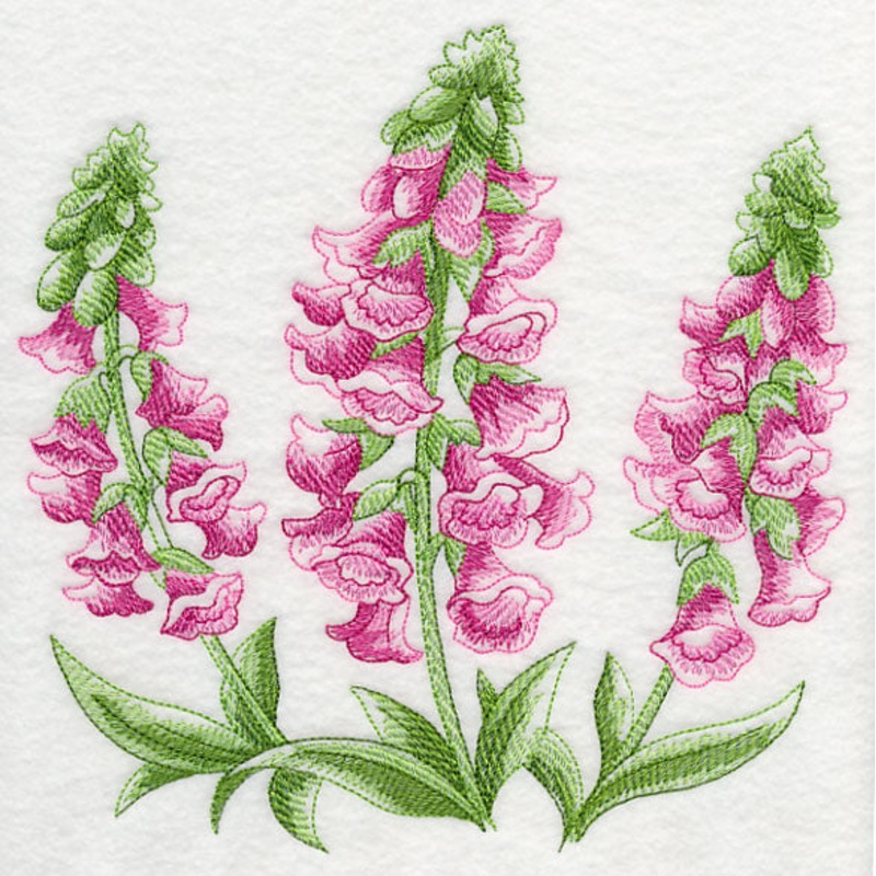 Foxglove Sketch|7.77″ x 7.8″ / 197.32mm x 198.04mm|6.87″ x 6.9″ / 174.56mm x 175.2mm|5.85″ x 5.87″ / 148.59mm x 149.13mm|4.83″ x 4.84″ / 122.59mm x 123.04mm|3.83″ x 3.85″ / 97.39mm x 97.74mm|All Sizes