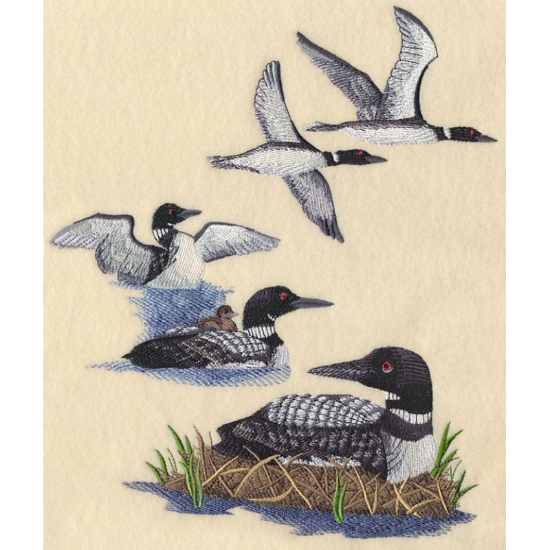 Loon Collage|10.37″ x 8.59″ / 263.39mm x 218.21mm|7.8″ x 6.45″ / 198.03mm x 163.78mm|7.07″ x 5.85″ / 179.5mm x 148.49mm|5.87″ x 4.85″ / 149.06mm x 123.27mm|All Sizes