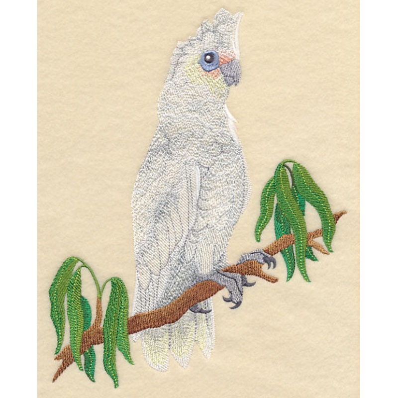 Little Corella|8.61″ x 6.88″ / 218.75mm x 174.79mm|7.33″ x 5.86″ / 186.28mm x 148.86mm|6.07″ x 4.85″ / 154.08mm x 123.18mm|All Sizes