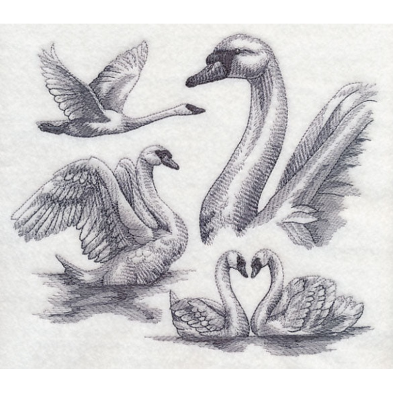 Swan Sketch|6.76″ x 7.78″ / 171.68mm x 197.49mm|5.85″ x 6.77″ / 148.54mm x 171.83mm|4.85″ x 5.61″ / 123.12mm x 142.44mm|All Sizes