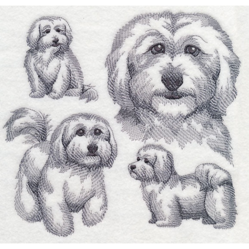 Coton De Tulear Sketch|7.47″ x 7.8″ / 189.8mm x 198.17mm|6.9″ x 7.17″ / 175.19mm x 182.21mm|5.86″ x 6.11″ / 148.78mm x 155.21mm|4.85″ x 5.03″ / 123.22mm x 127.86mm|All Sizes