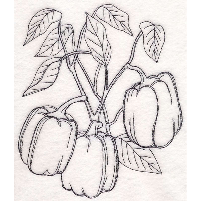 Bell Pepper Etching|8″ x 6.85″ / 203.26mm x 173.96mm|6.84″ x 5.86″ / 173.79mm x 148.74mm|6.22″ x 5.32″ / 158mm x 135.2mm|5.65″ x 4.84″ / 143.63mm x 122.88mm|3.85″ x 3.29″ / 97.72mm x 83.67mm|All Sizes