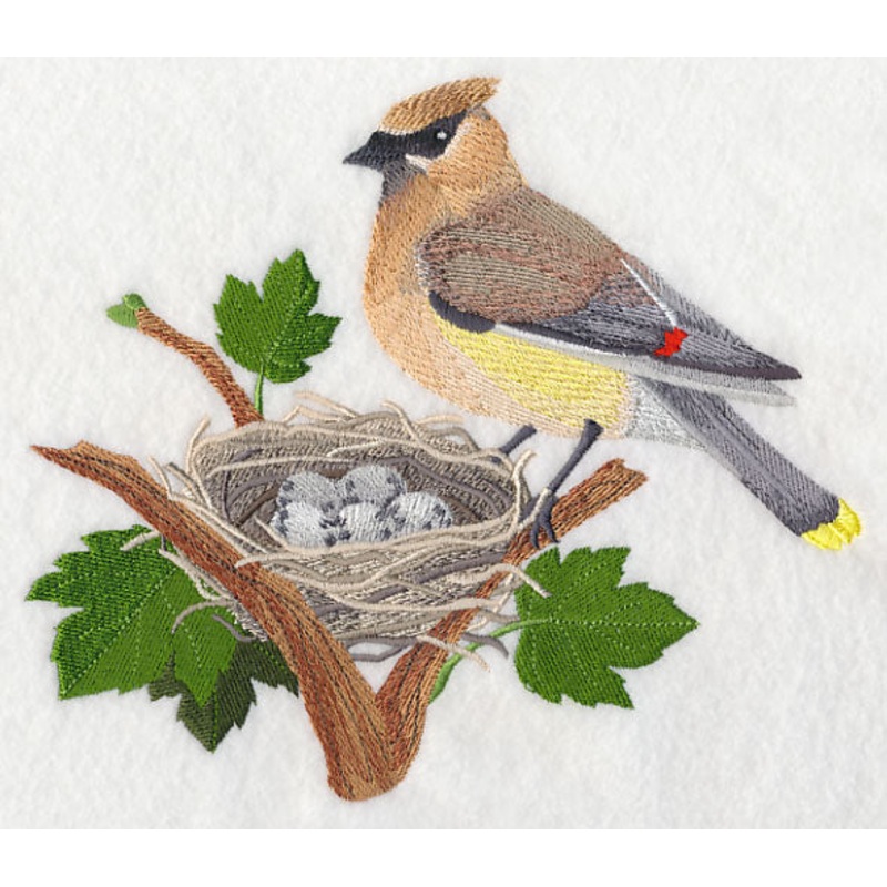 Cedar Waxwing and Nest|6.84″ x 7.79″ / 173.64mm x 197.97mm|5.83″ x 6.66″ / 148.15mm x 169.05mm|4.85″ x 5.54″ / 123.27mm x 140.73mm|All Sizes