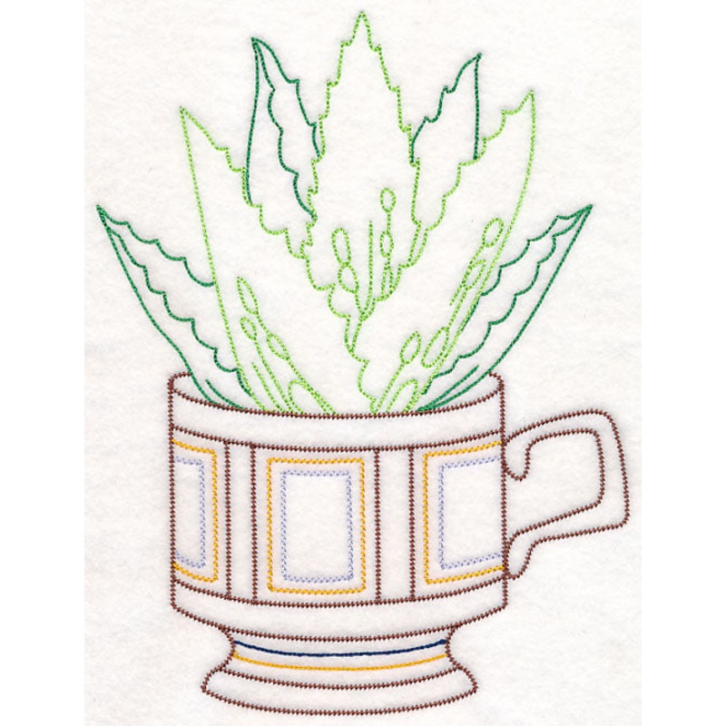 Cup o’ Succulent – Aloe Vera (Vintage)