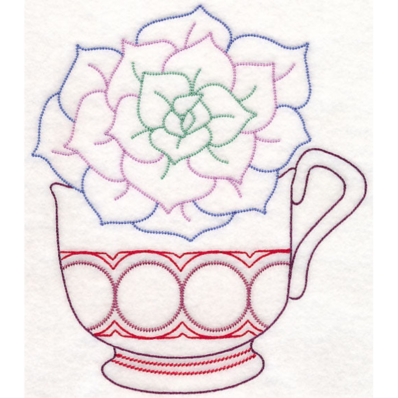 Cup o’ Succulent – Echeveria (Vintage)