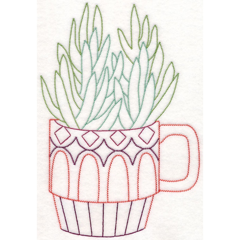 Cup o’ Succulent – Senecio (Vintage)