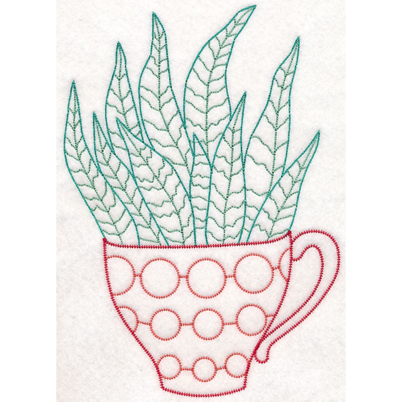 Cup o’ Succulent – Zebra Hawthoria (Vintage)