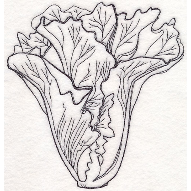 Lettuce Etching|7.15″ x 6.85″ / 181.68mm x 173.97mm|6.12″ x 5.86″ / 155.38mm x 148.79mm|5.56″ x 5.33″ / 141.23mm x 135.27mm|5.05″ x 4.84″ / 128.39mm x 122.97mm|3.85″ x 3.69″ / 97.77mm x 93.63mm|All Sizes