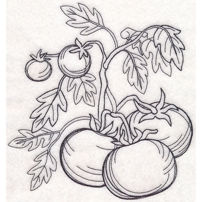Tomato Etching|7.14″ x 6.85″ / 181.43mm x 173.98mm|6.11″ x 5.86″ / 155.19mm x 148.81mm|5.56″ x 5.33″ / 141.18mm x 135.35mm|5.06″ x 4.85″ / 128.52mm x 123.26mm|3.85″ x 3.69″ / 97.75mm x 93.73mm|All Sizes