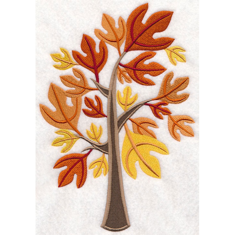 Colors of Fall – Sassafras Tree