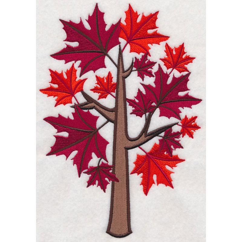 Colors of Fall – Sugar Maple Tree