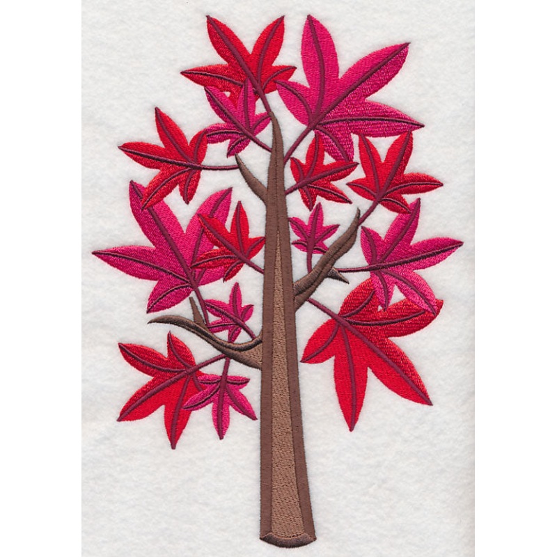 Colors of Fall – Sweet Gum Tree