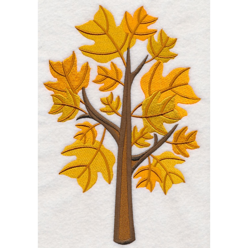 Colors of Fall – Yellow Poplar Tree