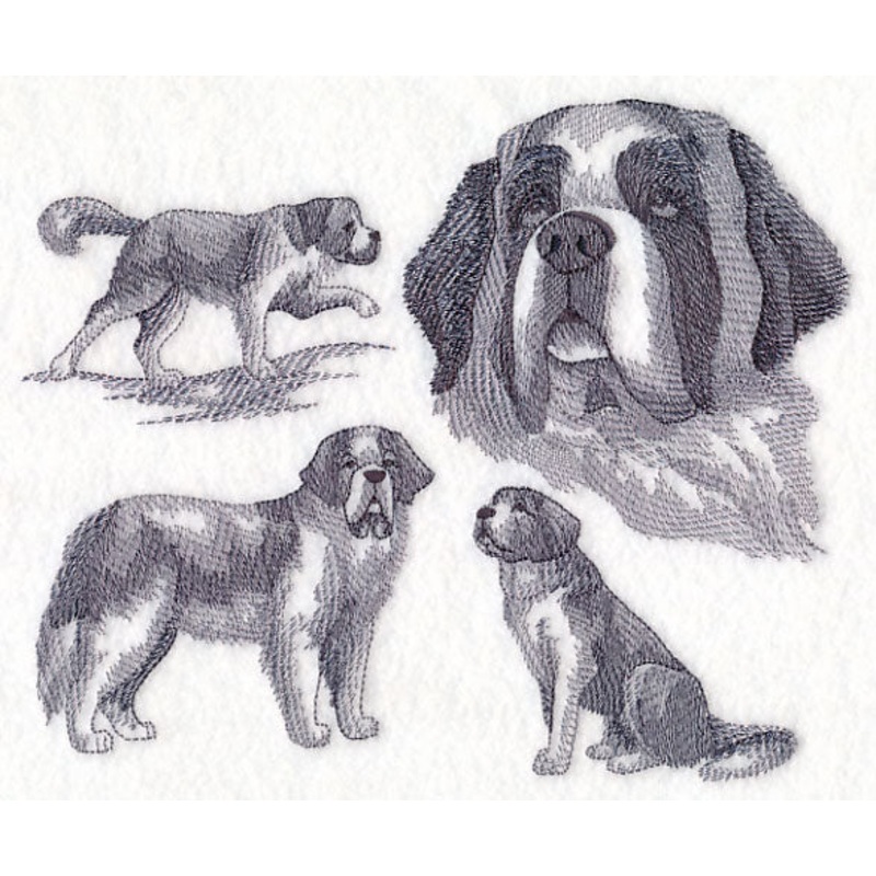 St. Bernard Sketch|6.44″ x 7.79″ / 163.69mm x 197.95mm|5.87″ x 7.08″ / 149.05mm x 179.77mm|4.85″ x 5.88″ / 123.07mm x 149.35mm|All Sizes
