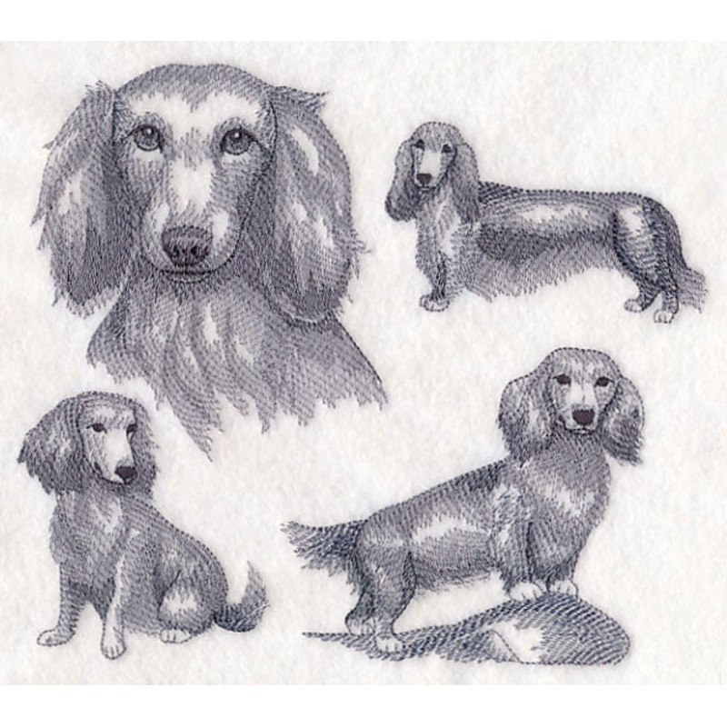 Long-Haired Wiener Dog Sketch|6.9″ x 7.73″ / 175.23mm x 196.27mm|5.85″ x 6.57″ / 148.55mm x 166.76mm|4.85″ x 5.44″ / 123.16mm x 138.22mm|All Sizes
