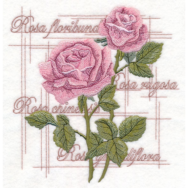 A Rose By Any Other Name|7.8″ x 7.58″ / 198.12mm x 192.5mm|7.1″ x 6.9″ / 180.39mm x 175.26mm|6.02″ x 5.85″ / 152.98mm x 148.59mm|5″ x 4.85″ / 126.88mm x 123.19mm|All Sizes