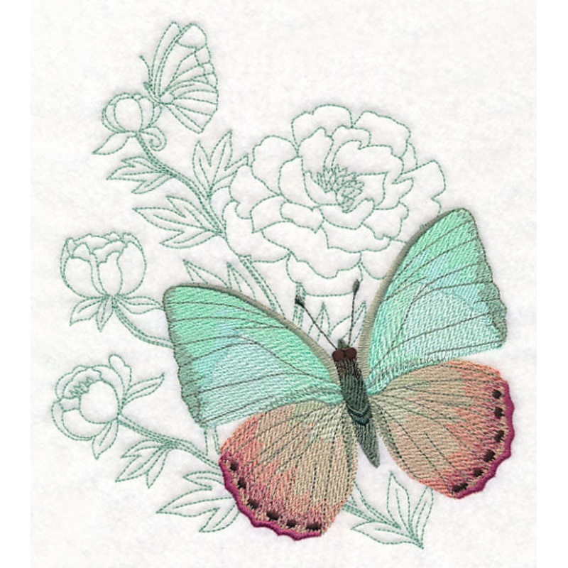 Butterfly Beauty – Green Charaxes
