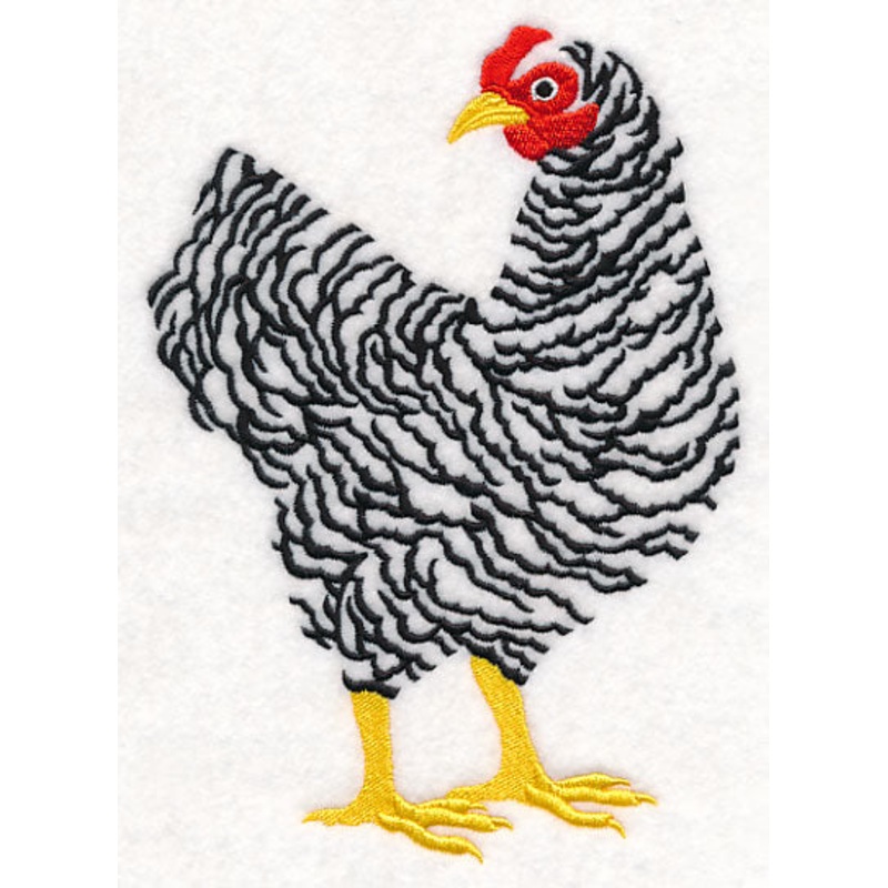 Barred Plymouth Rock Hen|7.16″ x 5.1″ / 181.79mm x 129.54mm|6.42″ x 4.57″ / 163.06mm x 116.17mm|5.33″ x 3.79″ / 135.27mm x 96.36mm|All Sizes