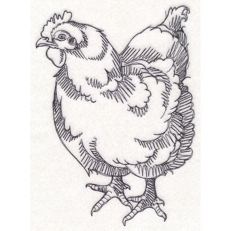 Farm Animal Sketch – Chicken|9.46″ x 6.85″ / 240.22mm x 173.94mm|7.8″ x 5.64″ / 198.07mm x 143.32mm|6.69″ x 4.84″ / 169.85mm x 122.97mm|3.85″ x 2.78″ / 97.75mm x 70.67mm|All Sizes