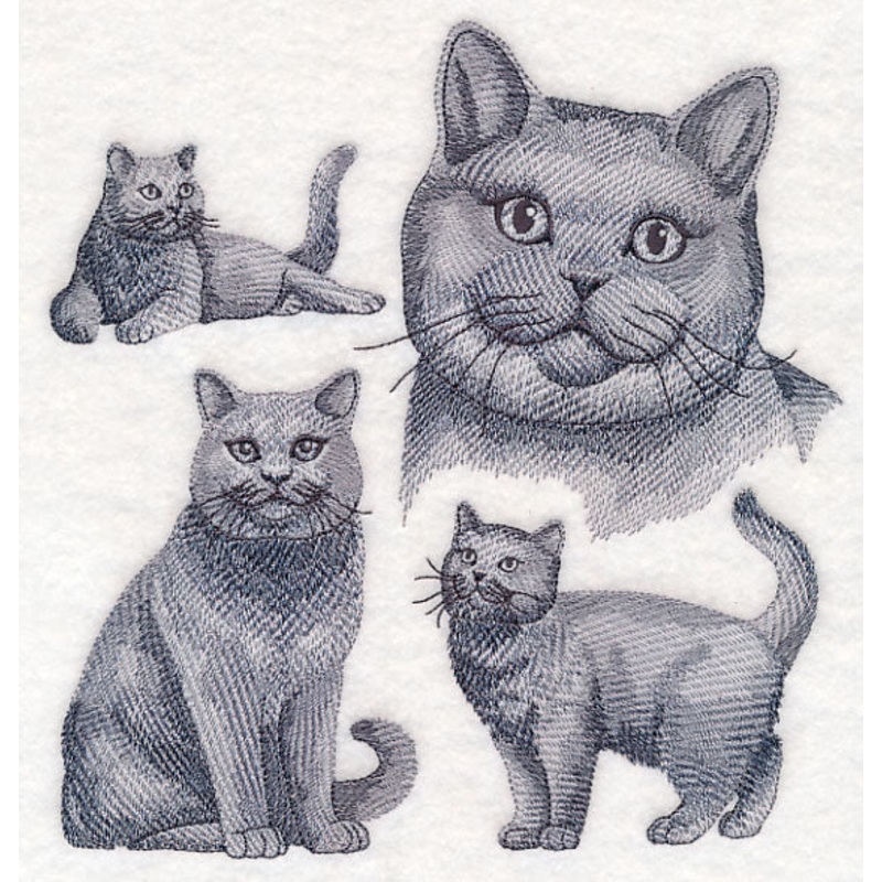 British Shorthair Cat Sketch|7.8″ x 7.41″ / 198.22mm x 188.15mm|7.27″ x 6.9″ / 184.59mm x 175.17mm|6.17″ x 5.86″ / 156.82mm x 148.76mm|5.12″ x 4.86″ / 130.13mm x 123.36mm|All Sizes