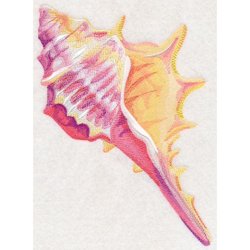 Conch Shell in Watercolor|10.18″ x 6.88″ / 258.69mm x 174.84mm|8.66″ x 5.86″ / 219.93mm x 148.82mm|7.78″ x 5.26″ / 197.58mm x 133.62mm|6.85″ x 4.64″ / 173.93mm x 117.82mm|All Sizes