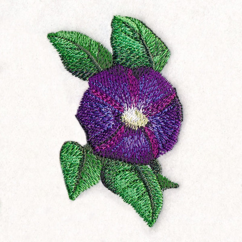 Lively Morning Glory|5.01″ x 3.28″ / 127.18mm x 83.34mm|4.26″ x 2.79″ / 108.24mm x 70.97mm|3.53″ x 2.32″ / 89.68mm x 58.84mm|All Sizes