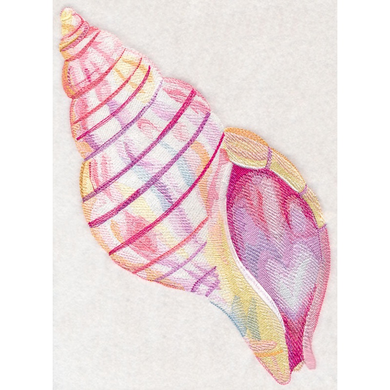 Tulip Shell in Watercolor|11.56″ x 6.87″ / 293.52mm x 174.54mm|9.39″ x 5.6″ / 238.59mm x 142.26mm|7.78″ x 4.63″ / 197.73mm x 117.71mm|6.8″ x 4.05″ / 172.82mm x 102.97mm|All Sizes