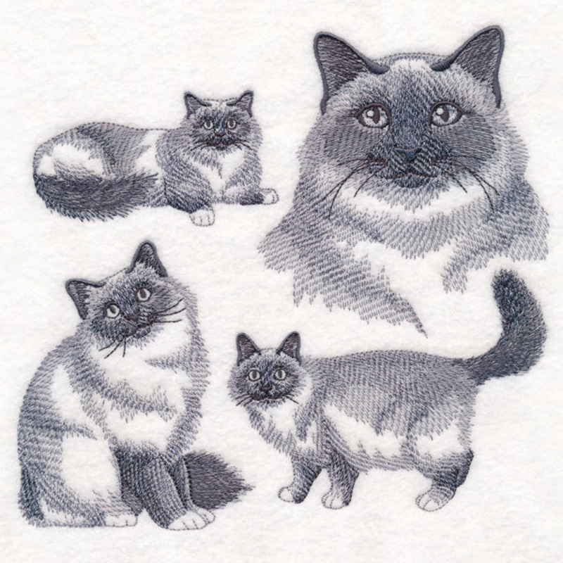 Birman Cat Sketch|6.9″ x 7.6″ / 175.37mm x 193.06mm|5.85″ x 6.44″ / 148.71mm x 163.5mm|4.86″ x 5.36″ / 123.32mm x 136.12mm|All Sizes