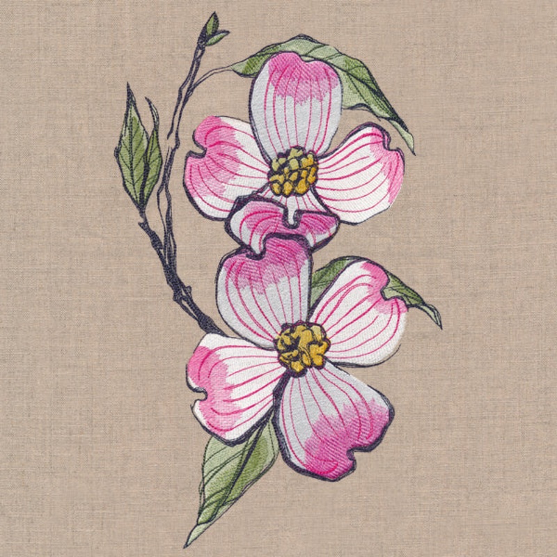 Flowers of the Forest – Dogwood