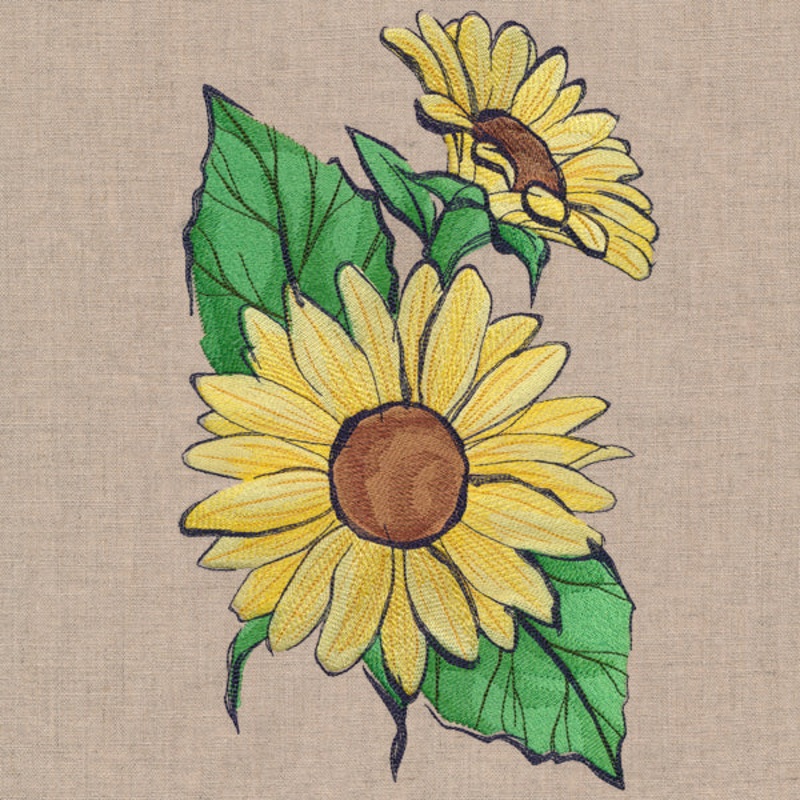 Flowers of the Forest – Sunflower