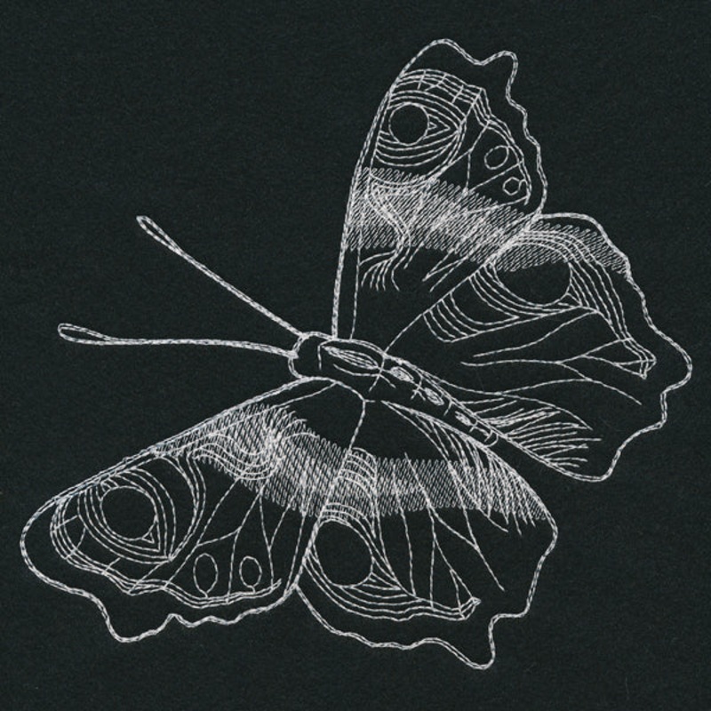 Autumn Glow – Butterfly|7.35″ x 7.79″ / 186.61mm x 197.98mm|6.45″ x 6.84″ / 163.84mm x 173.82mm|5.5″ x 5.85″ / 139.82mm x 148.49mm|4.56″ x 4.84″ / 115.84mm x 122.94mm|All Sizes
