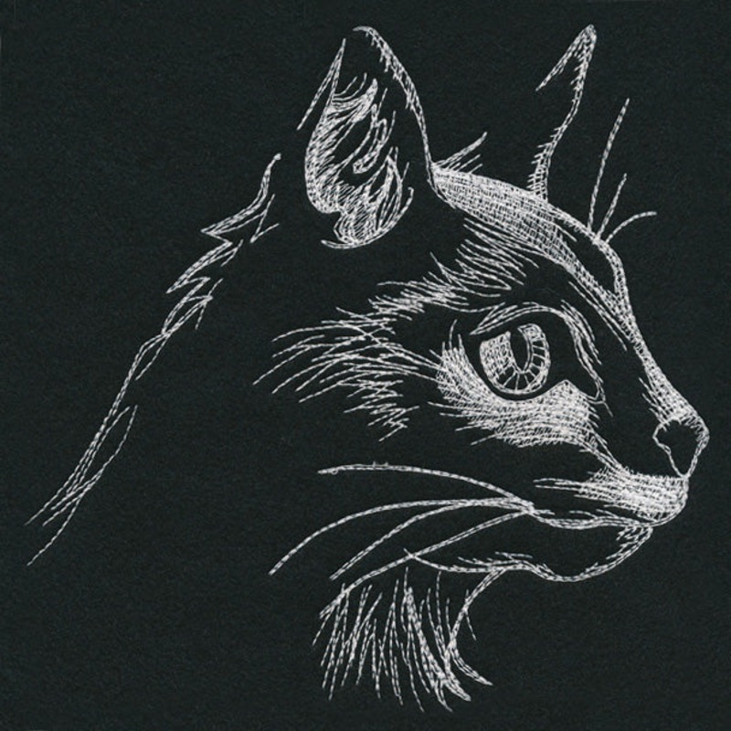 Autumn Glow – Cat|7.78″ x 7.8″ / 197.65mm x 198.07mm|6.84″ x 6.84″ / 173.63mm x 173.75mm|5.84″ x 5.84″ / 148.31mm x 148.42mm|4.83″ x 4.85″ / 122.73mm x 123.11mm|All Sizes