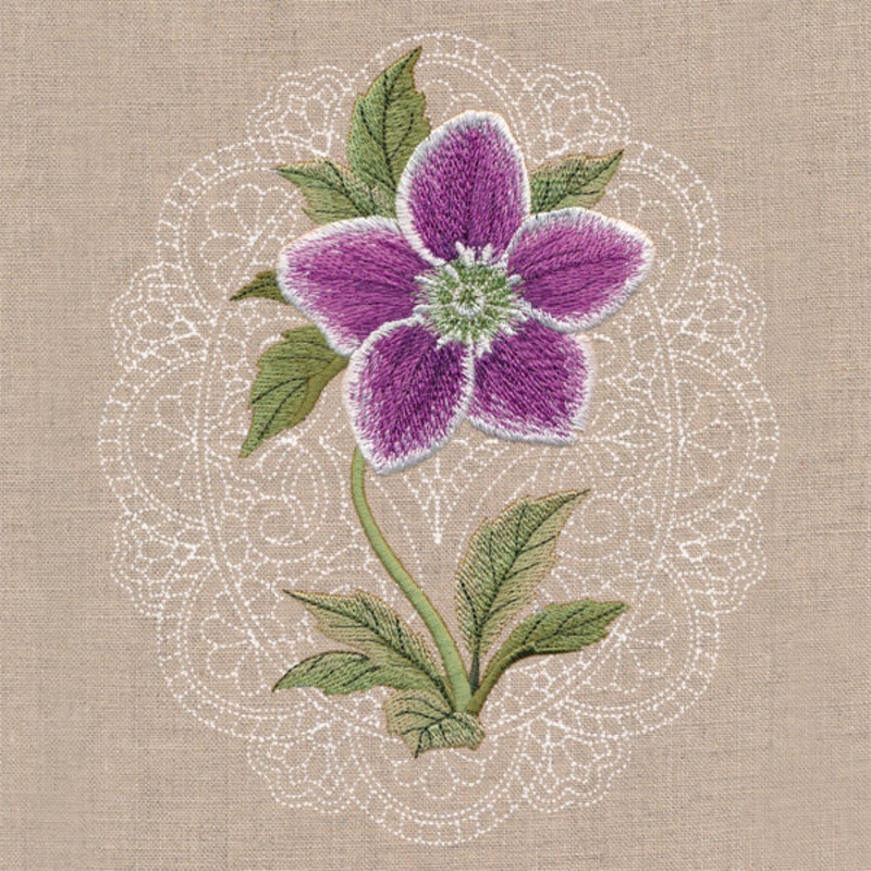 Floral Cameo – Lenten Rose|7.78″ x 6.57″ / 197.61mm x 166.78mm|6.93″ x 5.85″ / 176.06mm x 148.59mm|5.75″ x 4.85″ / 145.94mm x 123.17mm|All Sizes