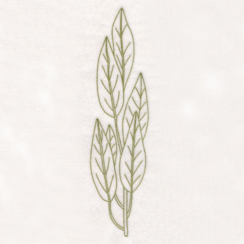 Botanical Treasures – Bay Leaves (Vintage)