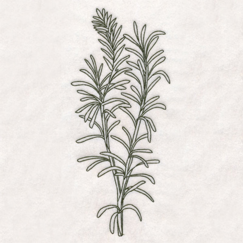 Botanical Treasures – Rosemary (Vintage)