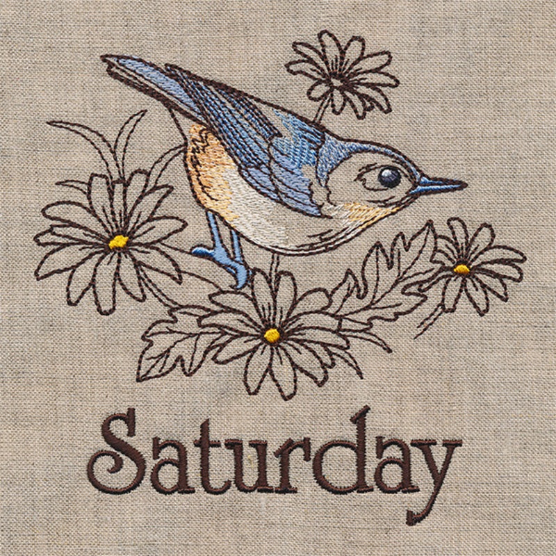 Blessed Saturday – Nuthatch and Chicory