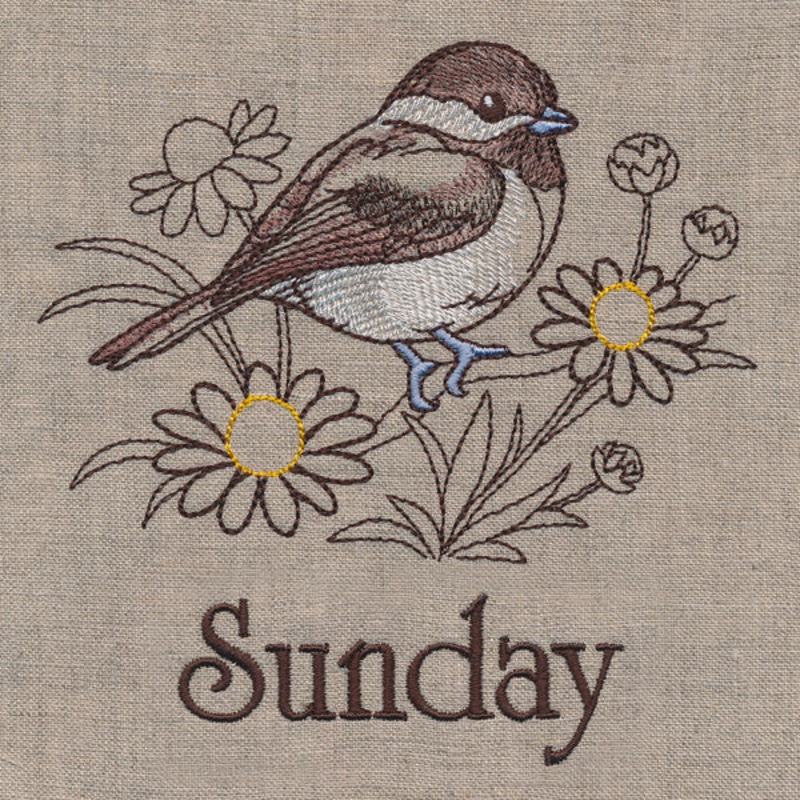 Blessed Sunday – Chickadee and Chamomile