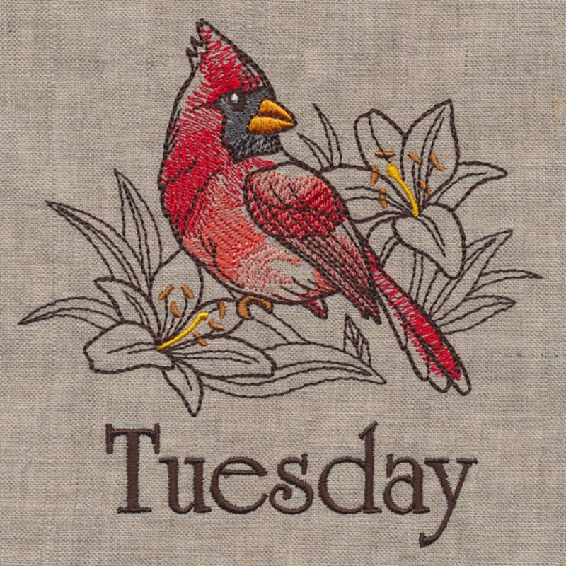 Blessed Tuesday – Cardinal and Lilies