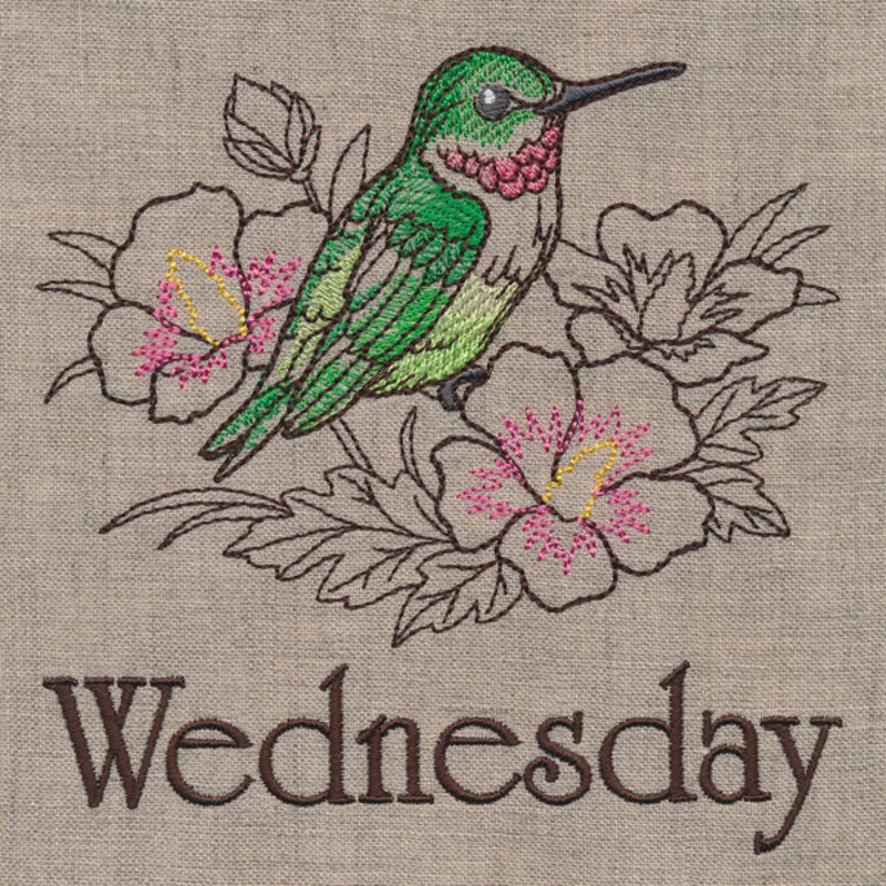 Blessed Wednesday – Hummingbird and Rose of Sharon
