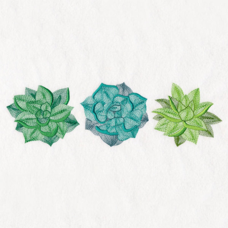 Succulents Trio|3.34″ x 11″ / 84.84mm x 279.4mm|2.85″ x 9.38″ / 72.39mm x 238.25mm|2.36″ x 7.78″ / 59.94mm x 197.61mm|2.08″ x 6.85″ / 52.83mm x 173.99mm|All Sizes