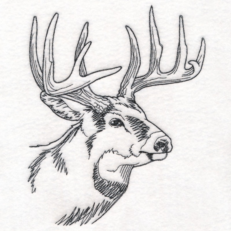 Ten Point Treasure|7.57″ x 6.85″ / 192.2mm x 173.92mm|6.46″ x 5.85″ / 164.14mm x 148.52mm|5.35″ x 4.85″ / 135.97mm x 123.14mm|3.85″ x 3.48″ / 97.71mm x 88.37mm|All Sizes