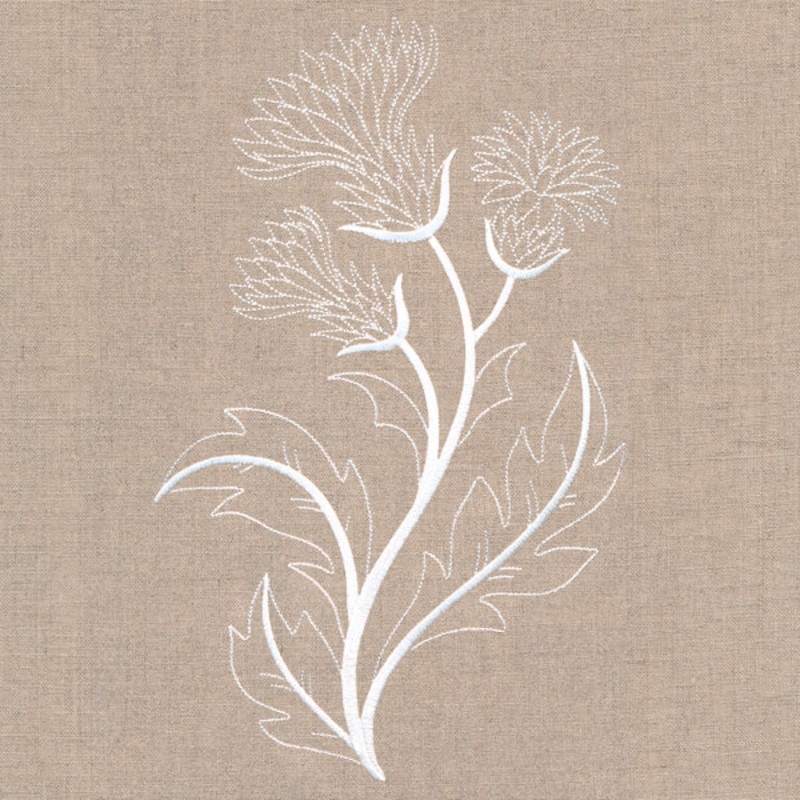 Delicate Thistle Stems|10.76″ x 6.9″ / 273.22mm x 175.26mm|9.13″ x 5.85″ / 231.86mm x 148.59mm|7.81″ x 5″ / 198.27mm x 127.05mm|6.86″ x 4.39″ / 174.14mm x 111.57mm|3.86″ x 2.47″ / 98.05mm x 62.7mm|All Sizes
