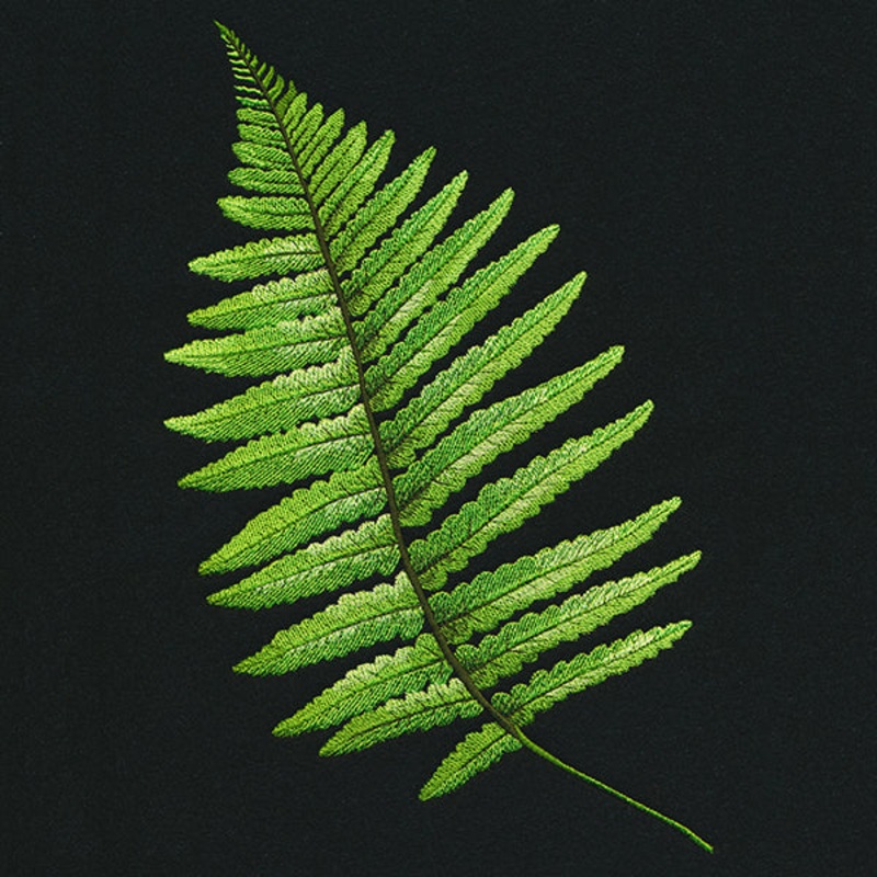 Fern Flourish|11.75″ x 6.43″ / 298.4mm x 163.43mm|9.4″ x 5.14″ / 238.71mm x 130.62mm|7.8″ x 4.28″ / 198.2mm x 108.6mm|6.86″ x 3.76″ / 174.19mm x 95.42mm|All Sizes
