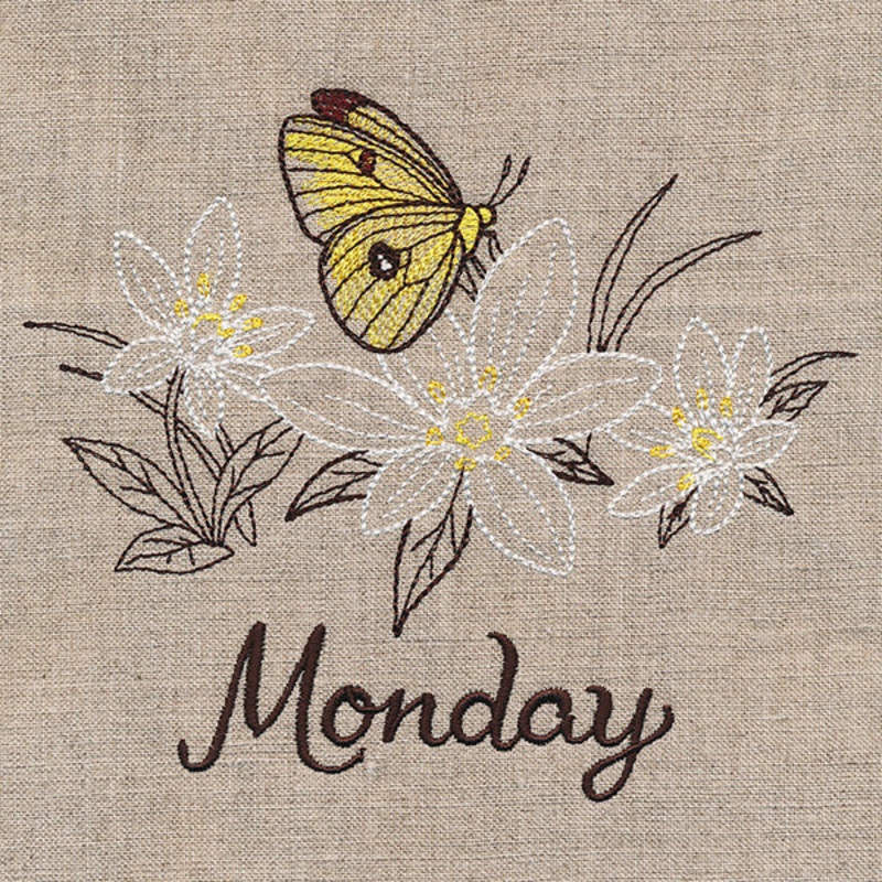 Blessed Monday – Clouded Sulfur & Star of Bethlehem