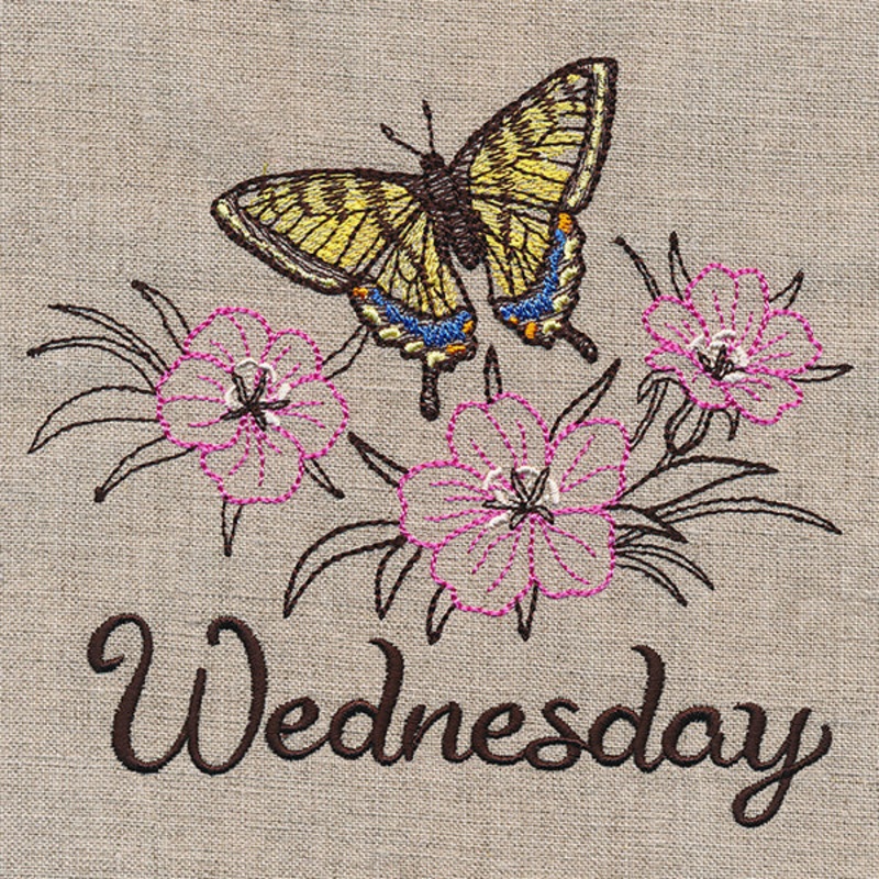 Blessed Wednesday – Tiger Swallowtail & Corncockle