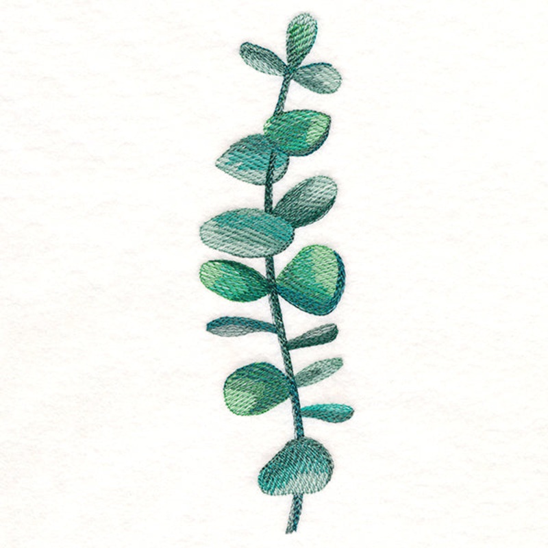Curious Botanical in Watercolor