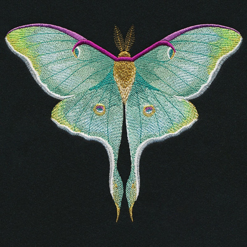 Emerald Luna Moth|6.51″ x 7.81″ / 165.3mm x 198.42mm|5.87″ x 7.04″ / 148.99mm x 178.87mm|4.85″ x 5.81″ / 123.26mm x 147.48mm|3.23″ x 3.86″ / 82.03mm x 98.02mm|All Sizes