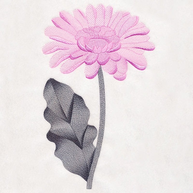 Delightful Daisy|11.32″ x 6.86″ / 287.41mm x 174.19mm|9.41″ x 5.7″ / 238.9mm x 144.81mm|7.81″ x 4.73″ / 198.26mm x 120.16mm|6.84″ x 4.15″ / 173.73mm x 105.34mm|3.86″ x 2.34″ / 97.93mm x 59.38mm|All Sizes